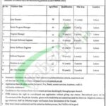 PITB Jobs Latest Advertisement 2024 Apply Online